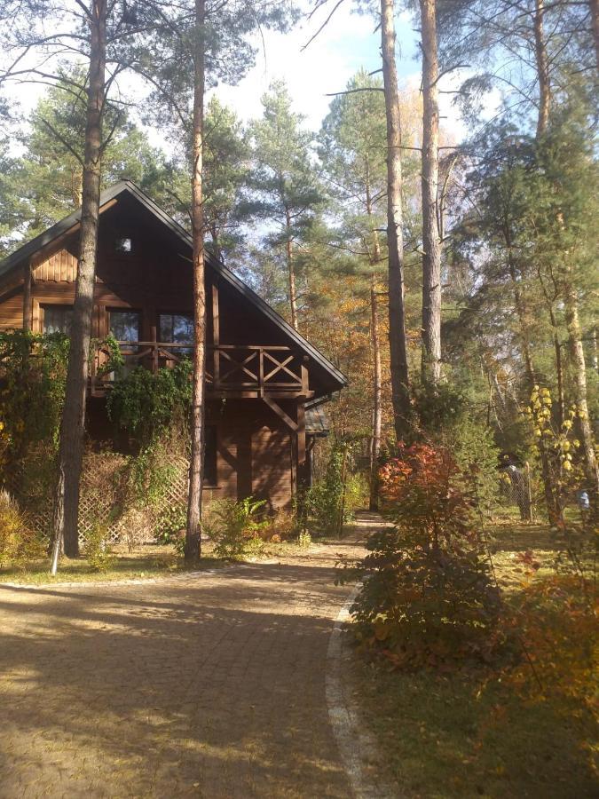 Lesna Ostoja Nad Pilica Villa Lechanice ภายนอก รูปภาพ
