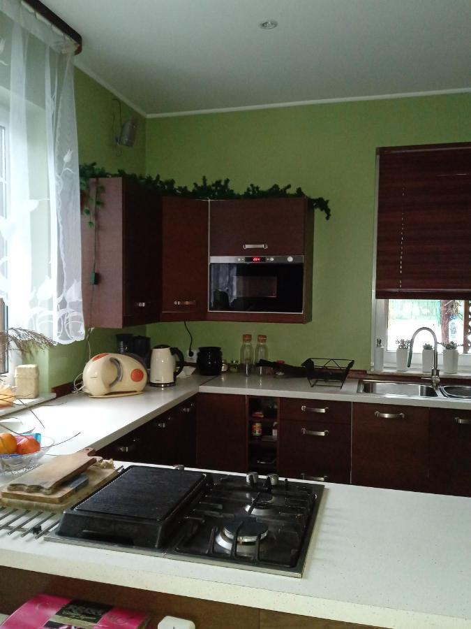 Lesna Ostoja Nad Pilica Villa Lechanice ภายนอก รูปภาพ