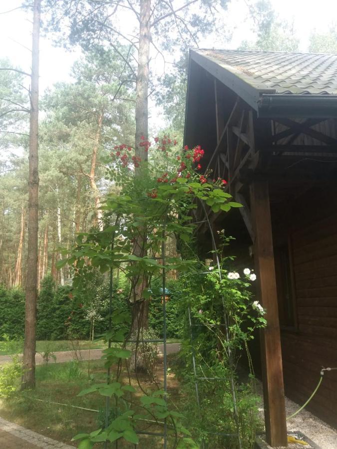 Lesna Ostoja Nad Pilica Villa Lechanice ภายนอก รูปภาพ