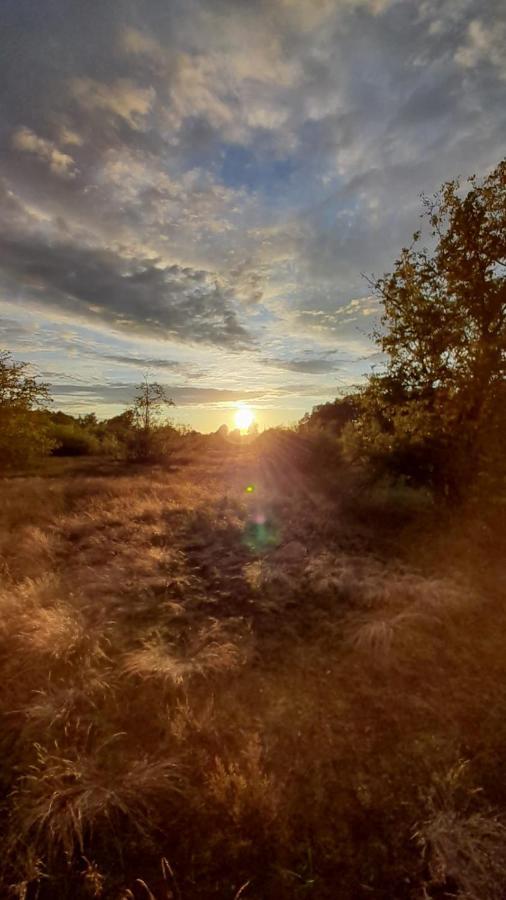 Lesna Ostoja Nad Pilica Villa Lechanice ภายนอก รูปภาพ