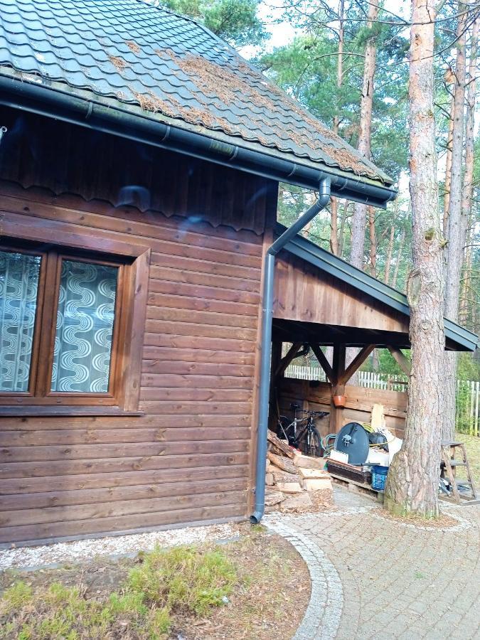 Lesna Ostoja Nad Pilica Villa Lechanice ภายนอก รูปภาพ