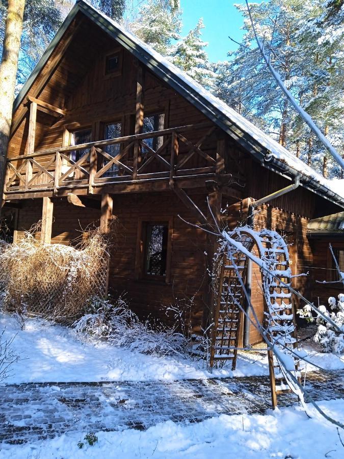 Lesna Ostoja Nad Pilica Villa Lechanice ภายนอก รูปภาพ
