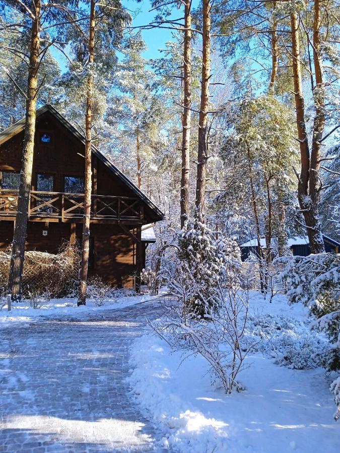 Lesna Ostoja Nad Pilica Villa Lechanice ภายนอก รูปภาพ