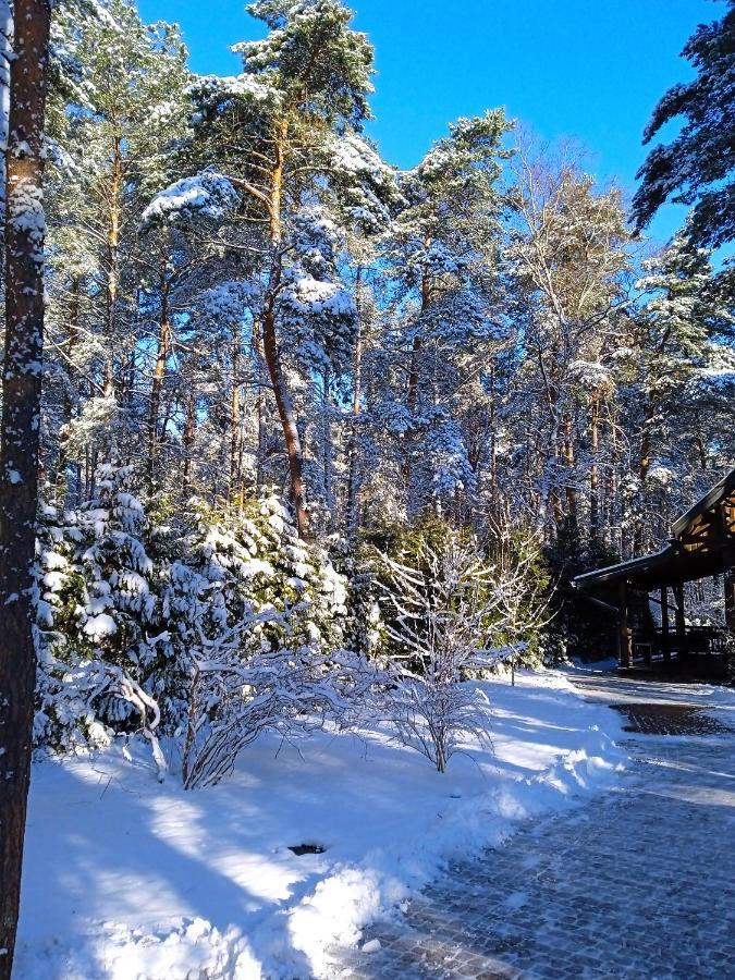 Lesna Ostoja Nad Pilica Villa Lechanice ภายนอก รูปภาพ
