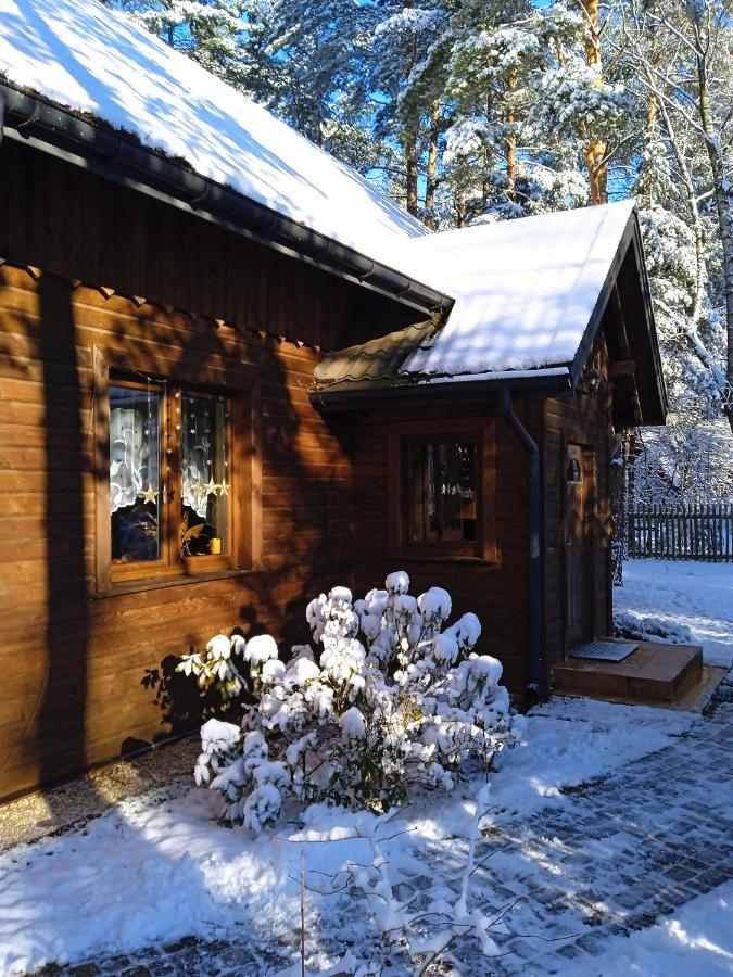 Lesna Ostoja Nad Pilica Villa Lechanice ภายนอก รูปภาพ