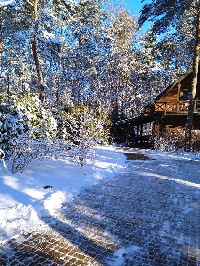 Lesna Ostoja Nad Pilica Villa Lechanice ภายนอก รูปภาพ