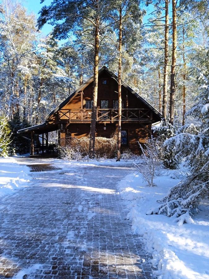 Lesna Ostoja Nad Pilica Villa Lechanice ภายนอก รูปภาพ