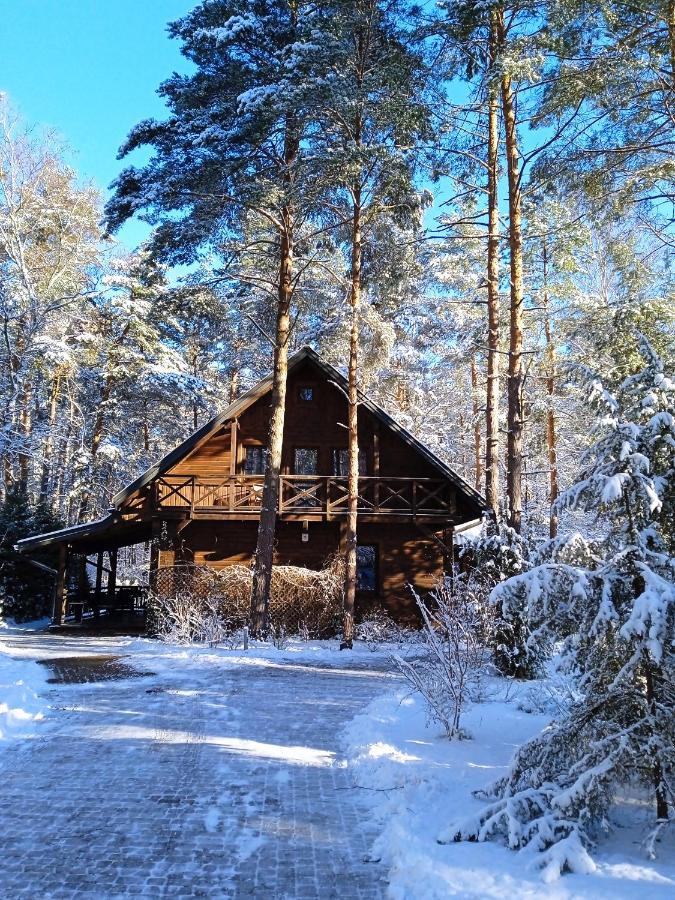 Lesna Ostoja Nad Pilica Villa Lechanice ภายนอก รูปภาพ