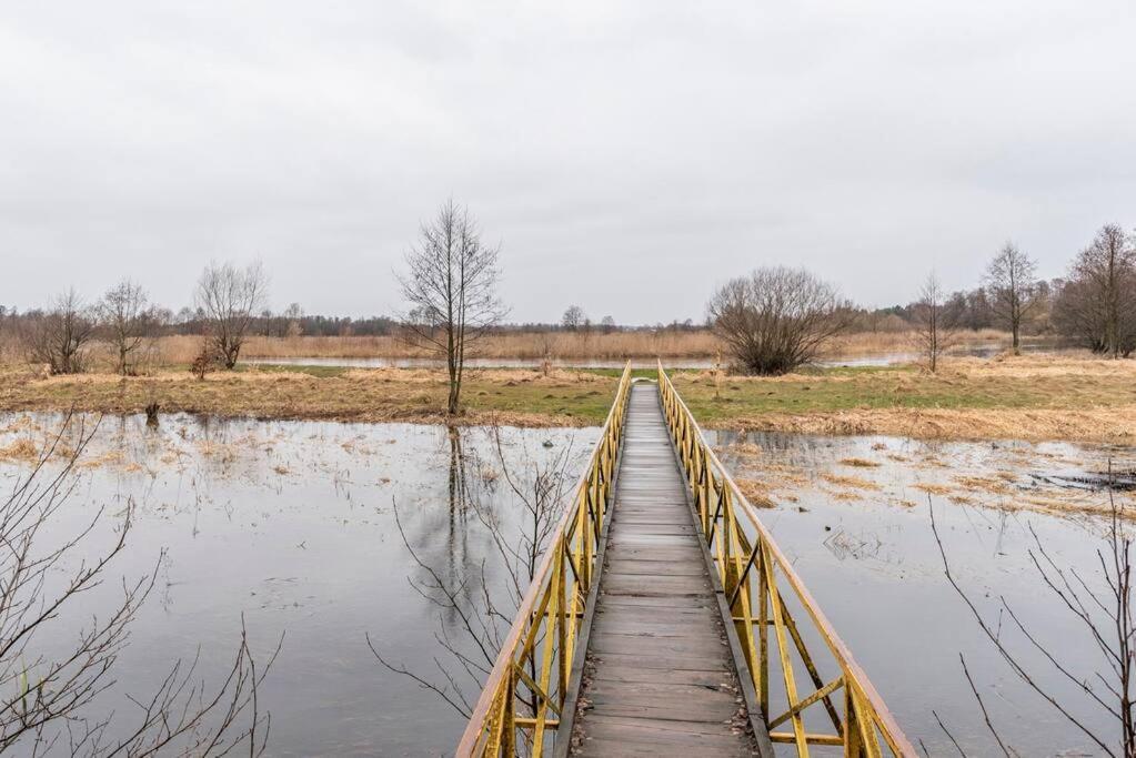 Lesna Ostoja Nad Pilica Villa Lechanice ภายนอก รูปภาพ